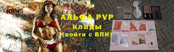 мяу мяу мука Баксан