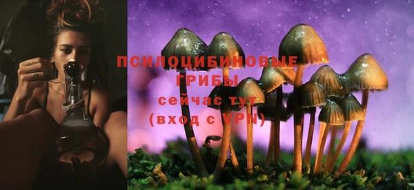 мяу мяу мука Баксан