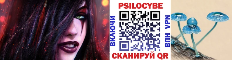 Псилоцибиновые грибы Psilocybine cubensis  блэк спрут tor  Сураж 