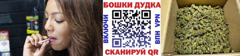Конопля семена  закладки  Сураж 